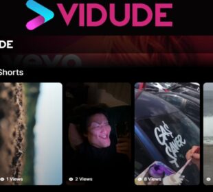 Vidude